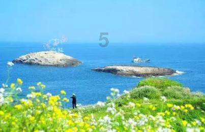 探索冷知识平台 - 12岁男孩独自做9菜1汤年夜饭,懂事的孩子为何总是令人更心疼?文化的秘密揭示