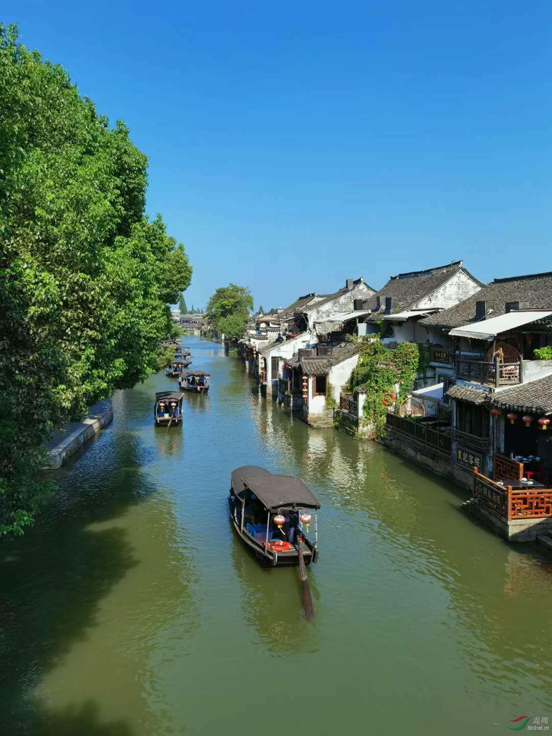 救援卡通老虎